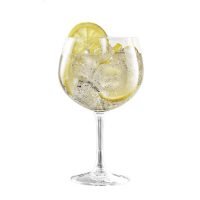 Jogo de 6 Taças Cocktail Gin Vina 700m - Arcoroc