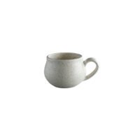 XICARA 277ML ORION REACTIVO