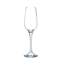 JG 6 TAÇAS CHAMPAGHE 200ML AMBER